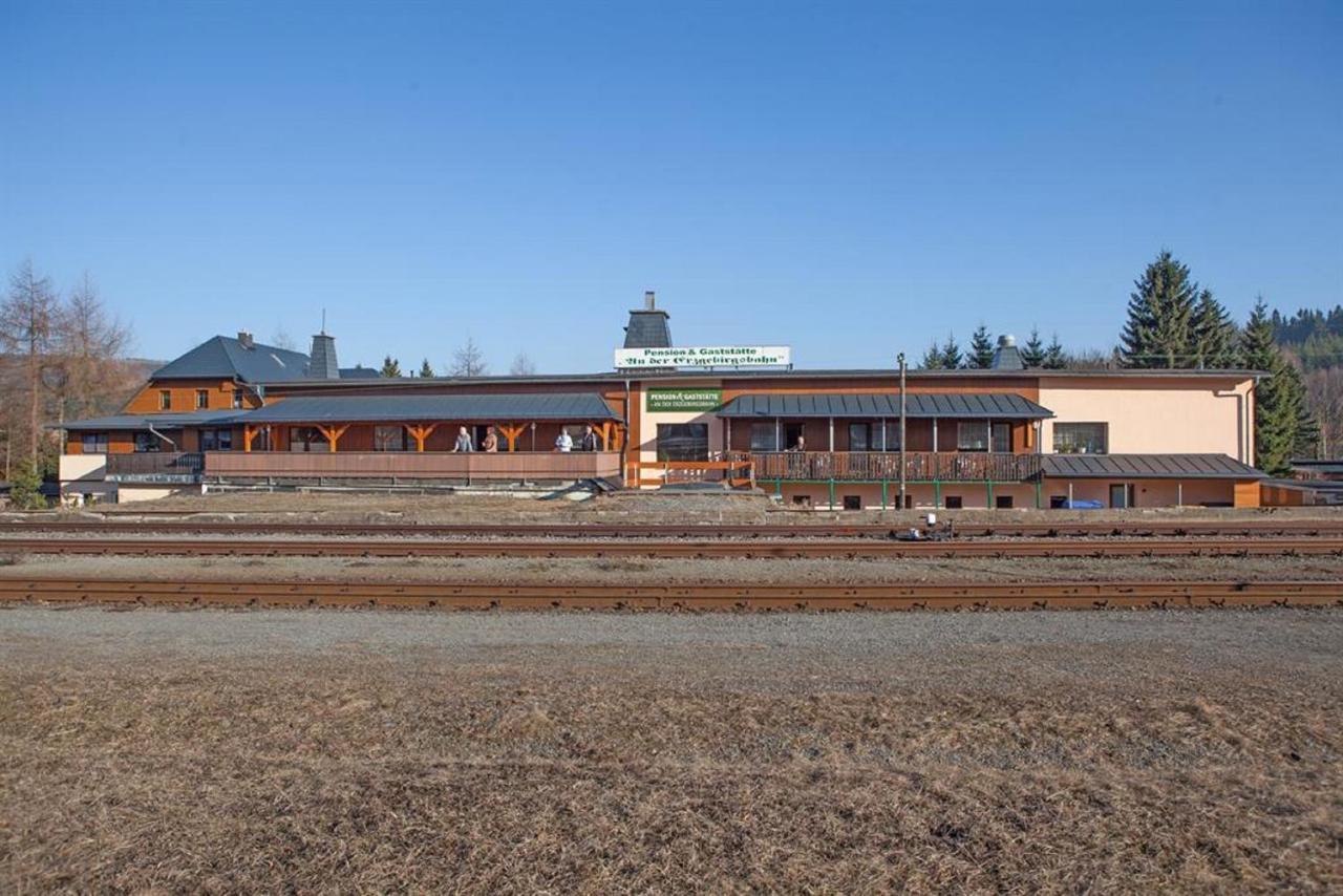 Pension An Der Erzgebirgsbahn Обервиезентал Екстериор снимка